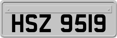 HSZ9519
