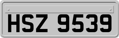 HSZ9539