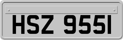 HSZ9551