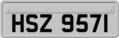 HSZ9571