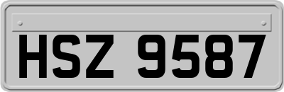 HSZ9587