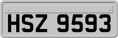 HSZ9593