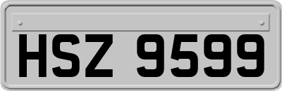 HSZ9599