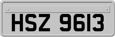 HSZ9613