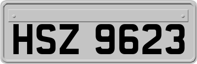 HSZ9623
