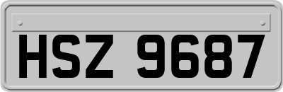 HSZ9687