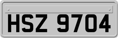 HSZ9704