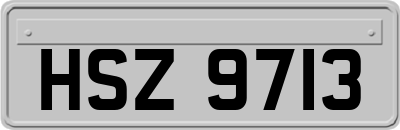 HSZ9713