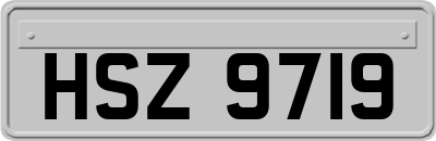 HSZ9719