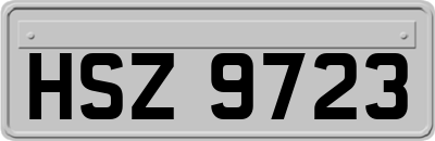 HSZ9723