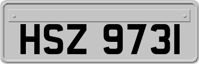 HSZ9731
