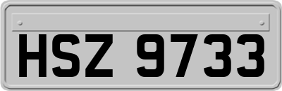HSZ9733