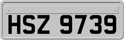 HSZ9739