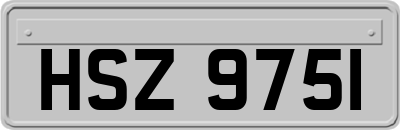 HSZ9751