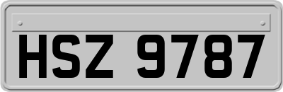 HSZ9787