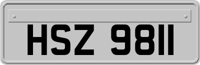 HSZ9811