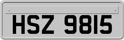 HSZ9815