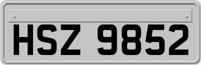 HSZ9852