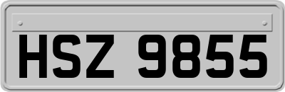 HSZ9855