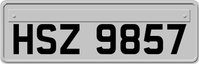 HSZ9857