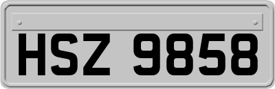 HSZ9858
