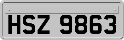 HSZ9863