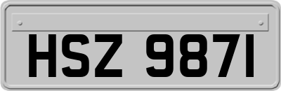 HSZ9871