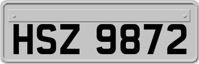 HSZ9872
