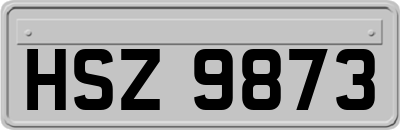 HSZ9873