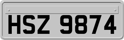 HSZ9874