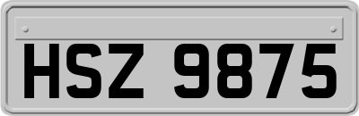 HSZ9875
