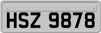 HSZ9878