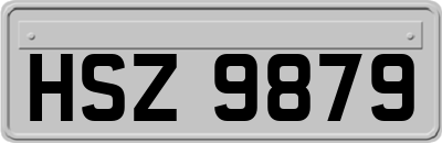HSZ9879