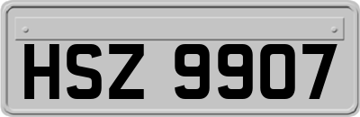 HSZ9907