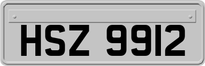 HSZ9912