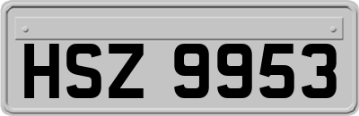 HSZ9953