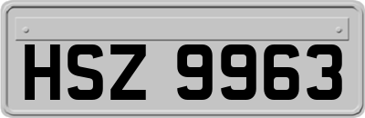 HSZ9963
