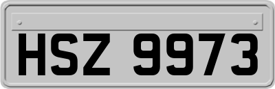 HSZ9973