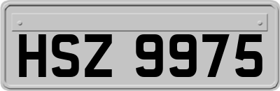 HSZ9975
