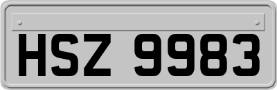 HSZ9983