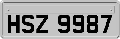 HSZ9987