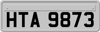HTA9873