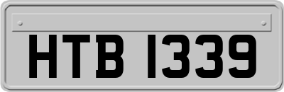 HTB1339