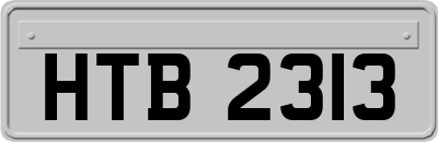 HTB2313