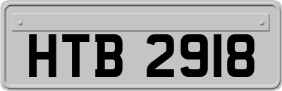 HTB2918