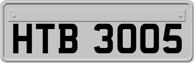 HTB3005