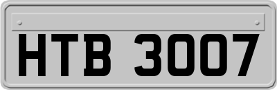 HTB3007