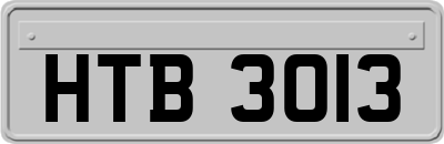 HTB3013