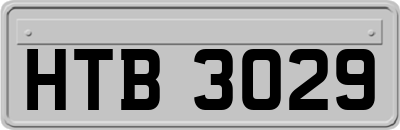 HTB3029