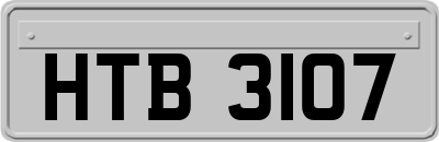 HTB3107